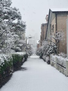 Узкая улица в Корее, покрытая снегом, с домами и деревьями по обе стороны