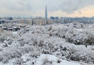 Зима в Корее. Сеул под первым снегом, вид на лес и высотные здания с башней Лотте Ворлд Тауэр