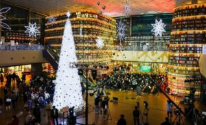 Большая рождественская ёлка и огни в библиотеке COEX, Сеул