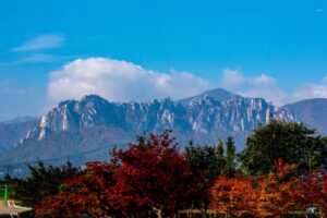 Осенний пейзаж гор Сораксан с красными клёнами
